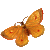 butterfly floater